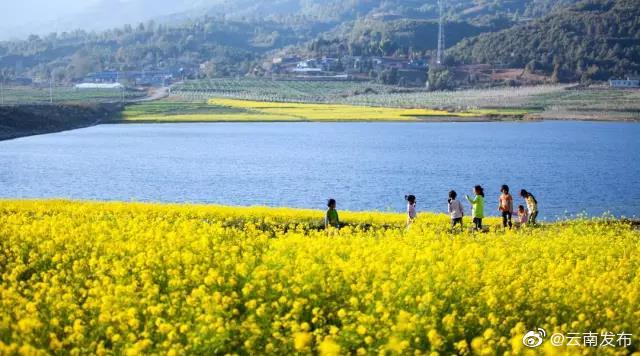 云南环境空气质量预报