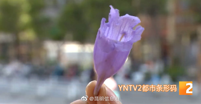 昆明信息港微博