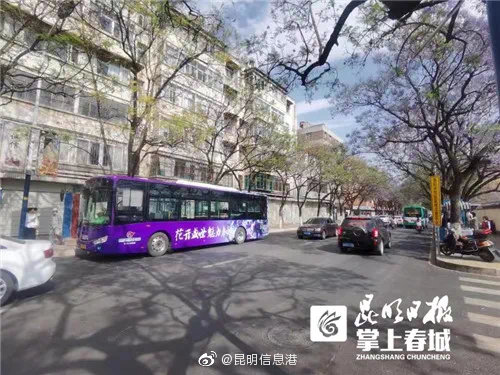 昆明信息港微博