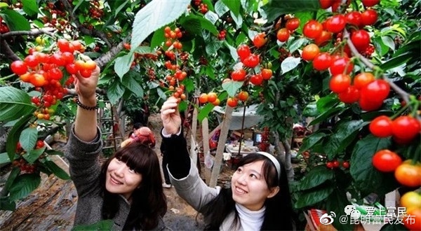 “昆明富民发布”微博