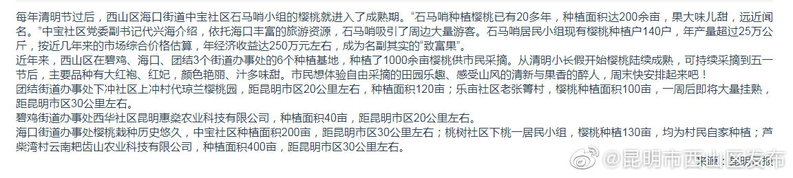 西山区多地樱桃红了