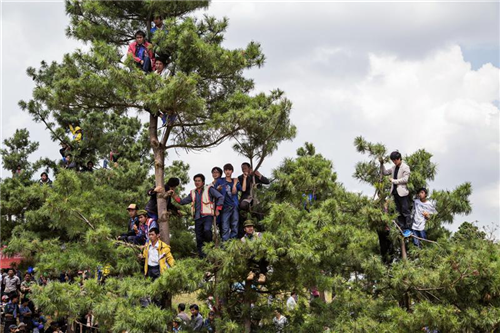 文明昆明(微信)