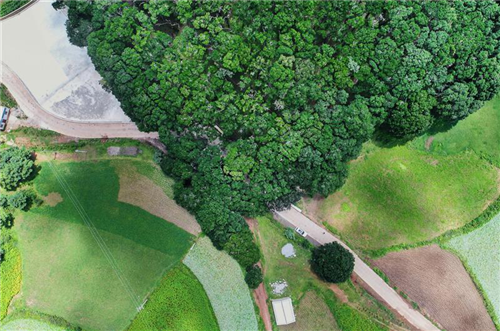 文明昆明(微信)