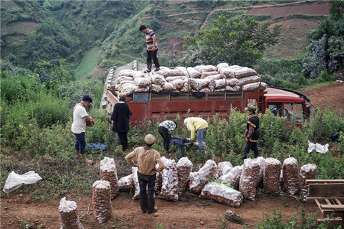 文明昆明(微信)