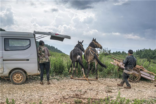 文明昆明(微信)