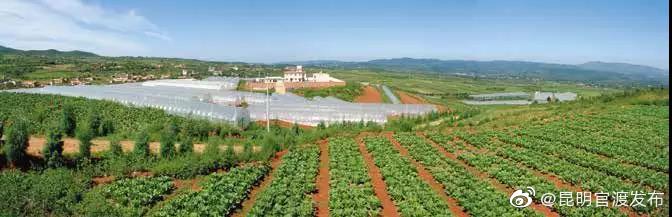 “昆明官渡发布”微博