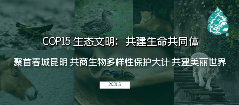 东川发布(微信)