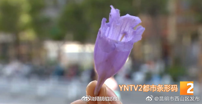 “昆明发布”微博