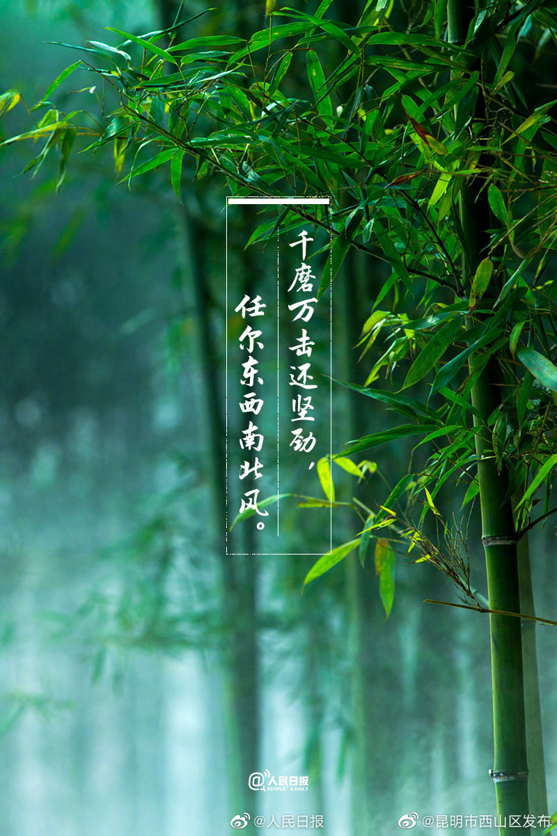 “昆明市西山区发布”微博