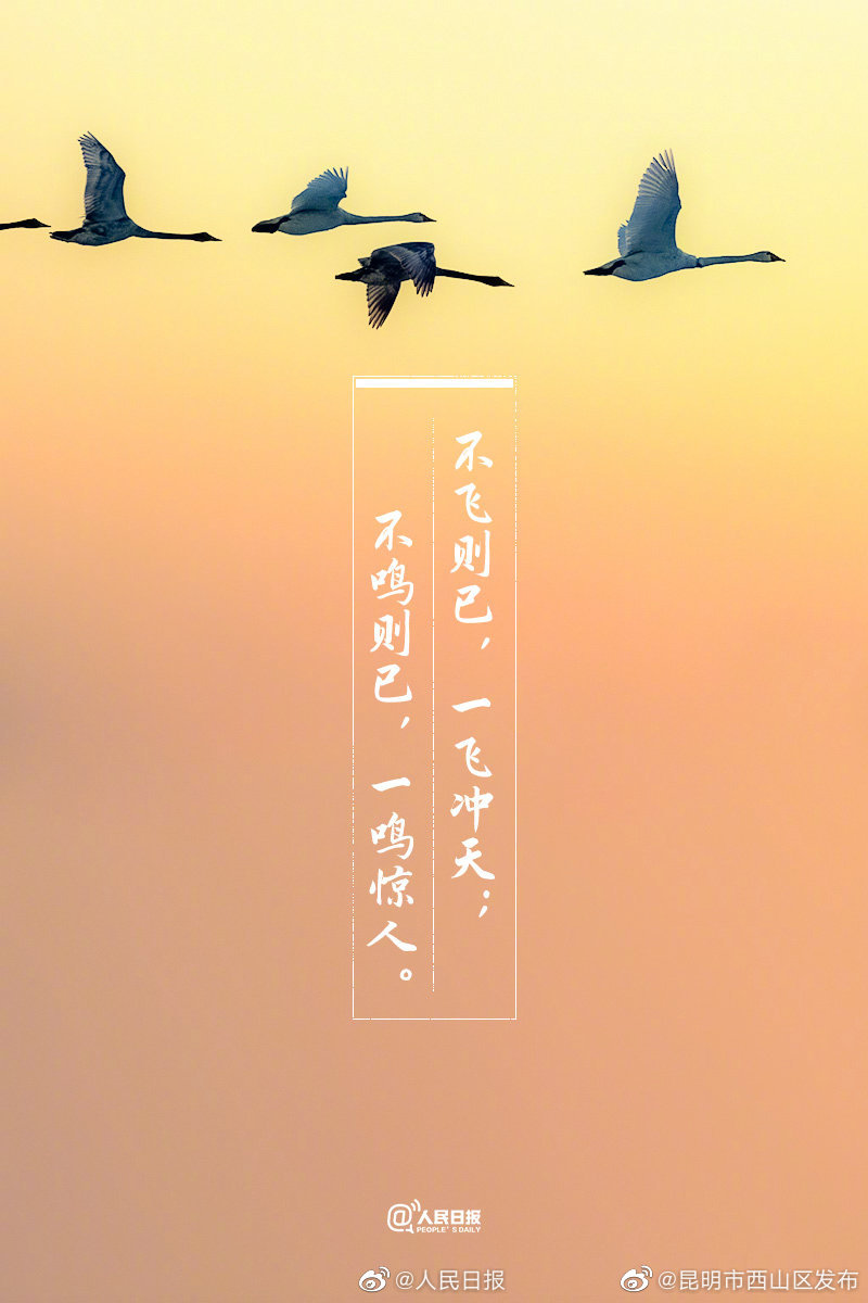 “昆明市西山区发布”微博