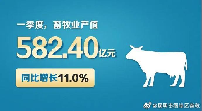 “昆明市西山区发布”微博
