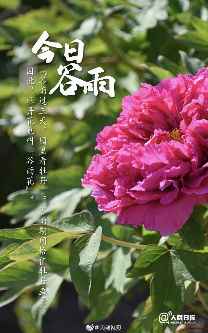 “昆明发布”微博