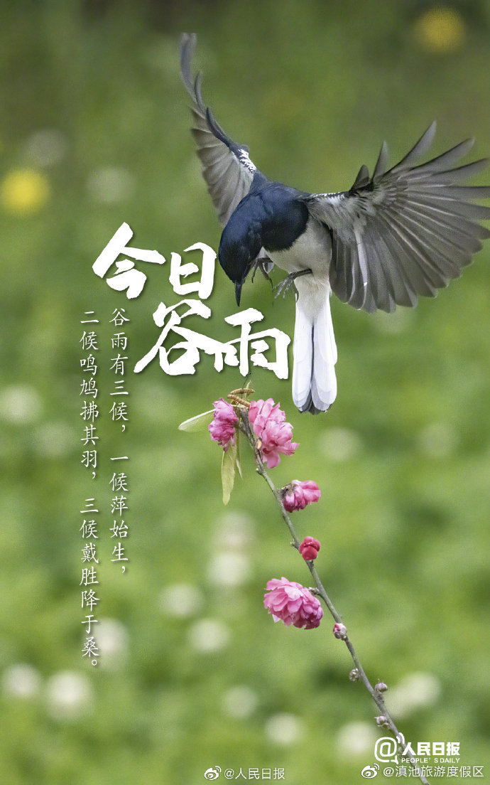 “滇池旅游度假区”微博