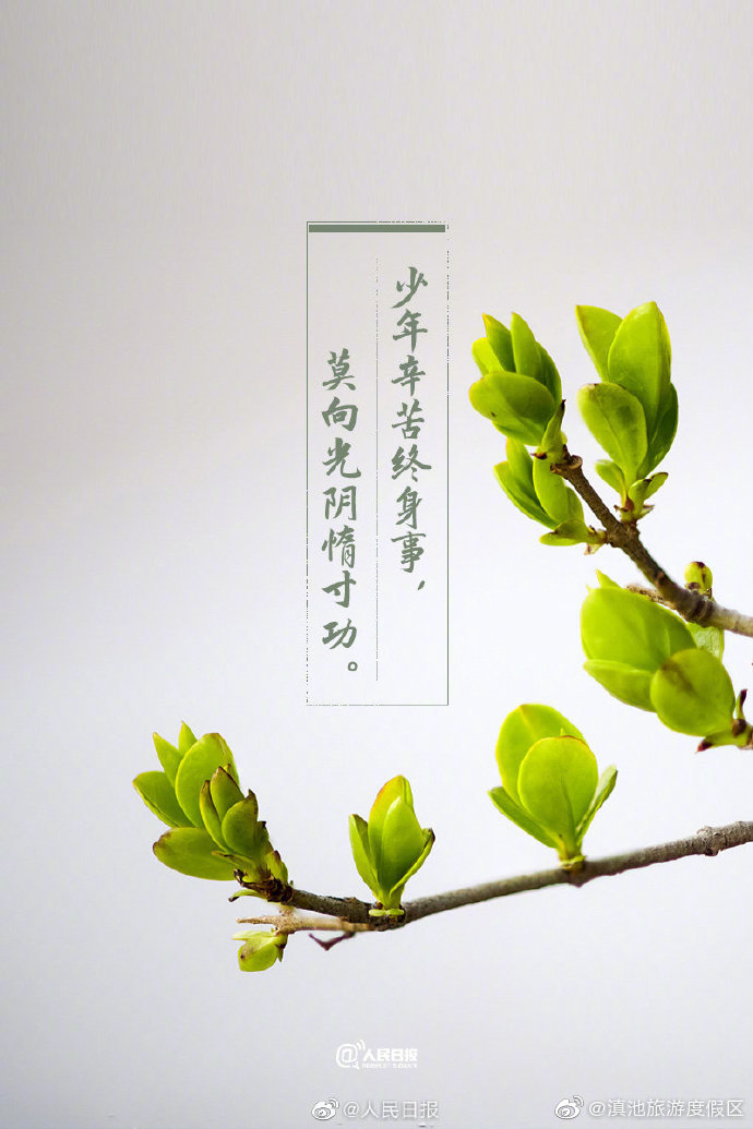 “滇池旅游度假区”微博