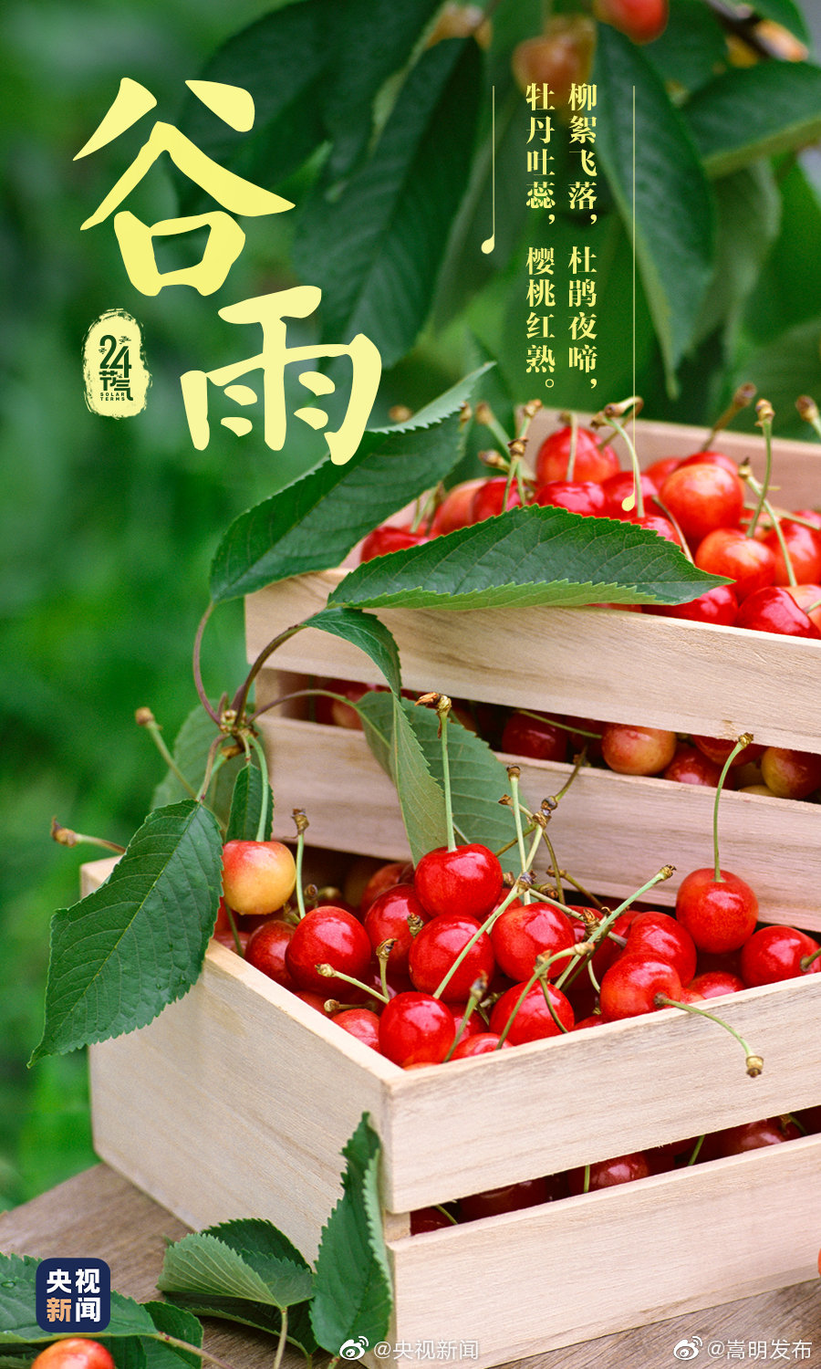 “嵩明发布”微博