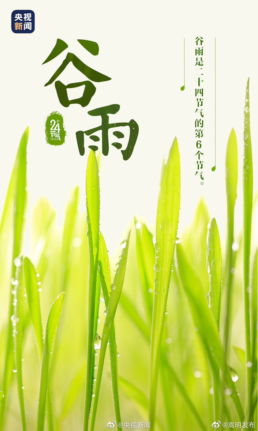 “嵩明发布”微博