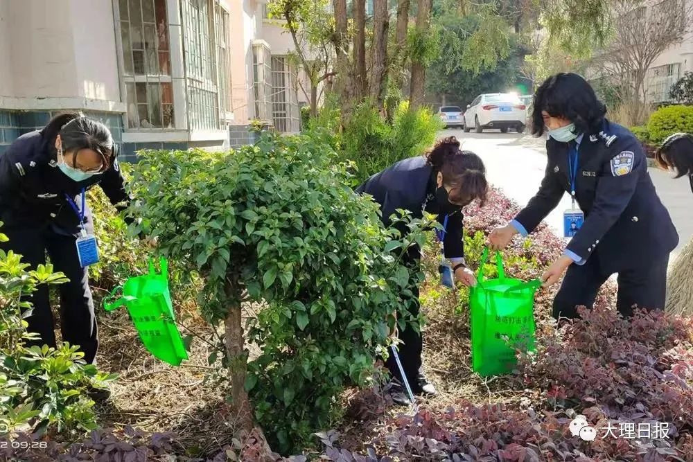 大理日报(微信)