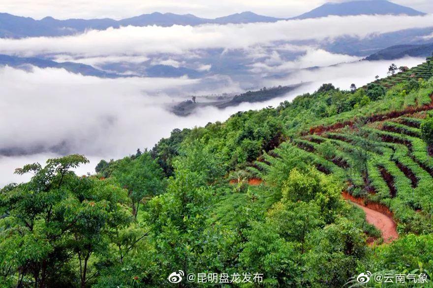 云南省未来24小时天气预报
