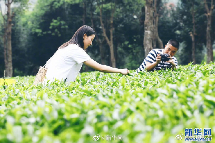 “云南发布”微博