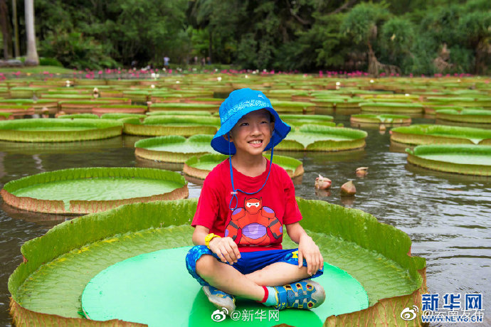 “云南发布”微博