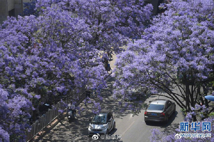 “云南发布”微博