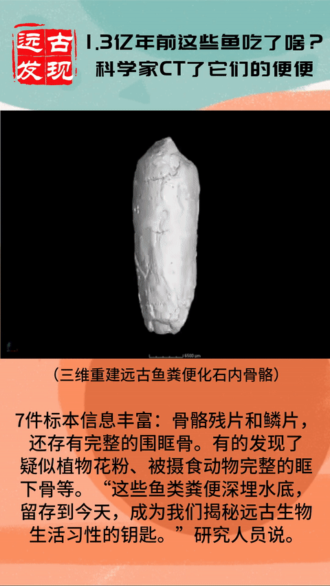 科学家给1.3亿年前鱼便便做CT，瞧瞧它们吃了啥