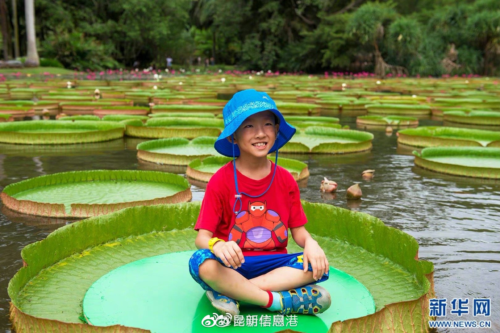 昆明信息港微博