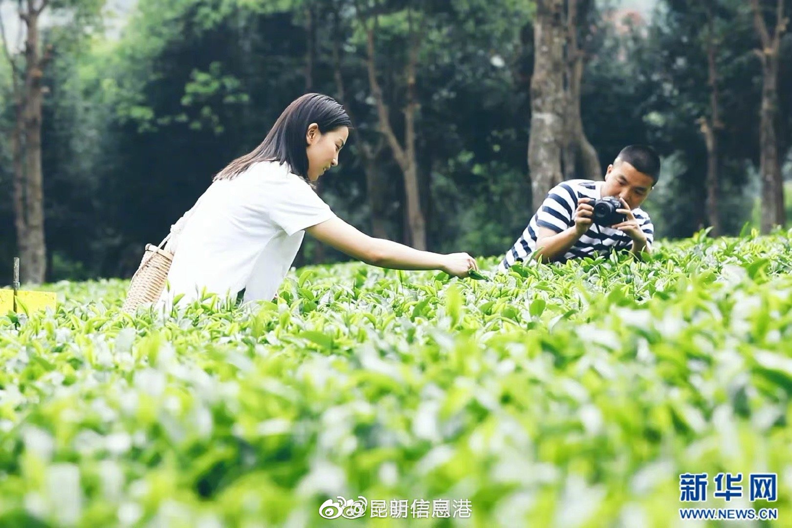 昆明信息港微博