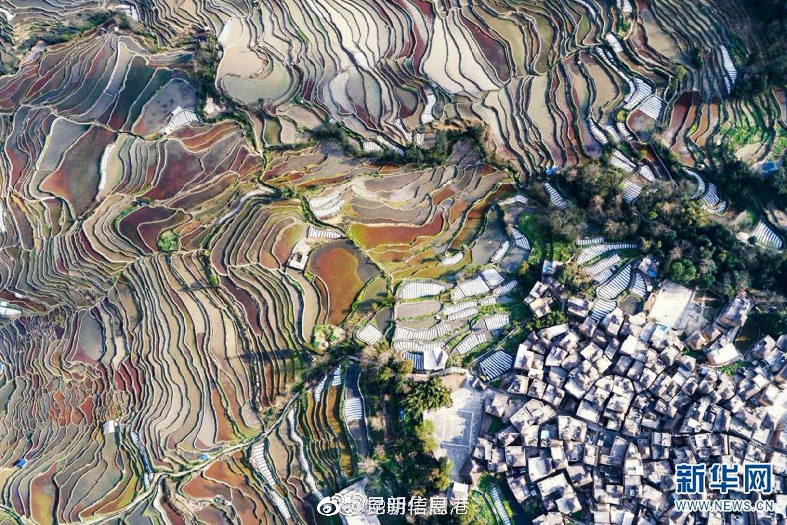 昆明信息港微博