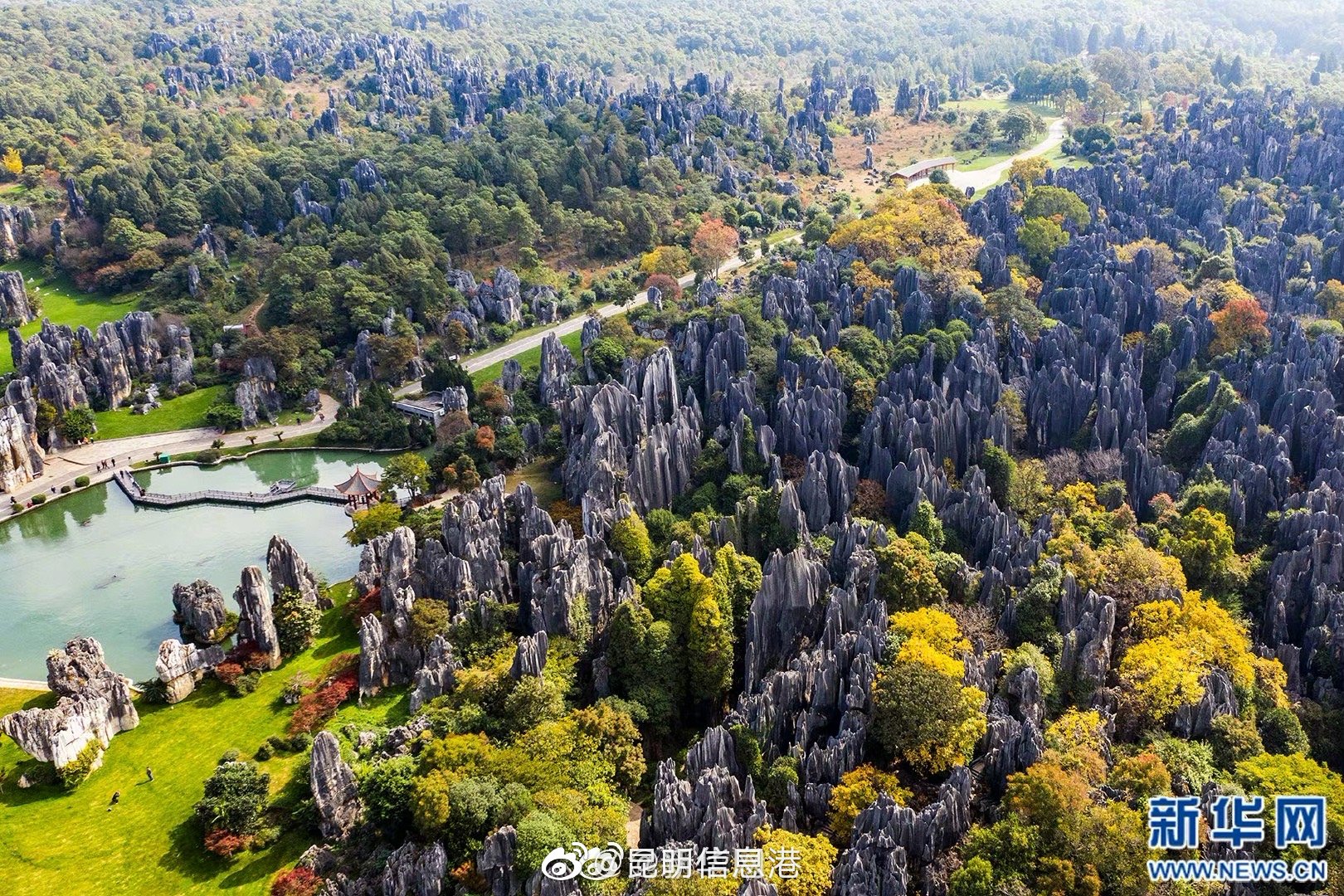 昆明信息港微博