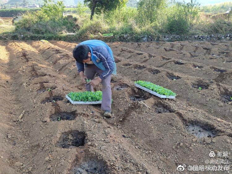 “昆明禄劝发布”微博