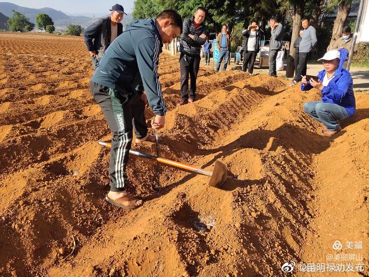 “昆明禄劝发布”微博