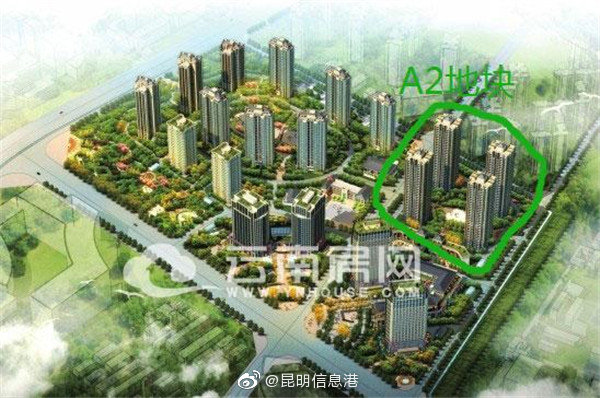 昆明信息港微博