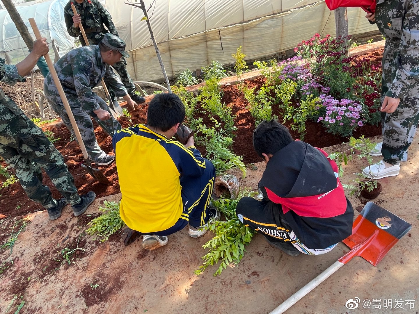 “嵩明发布”微博