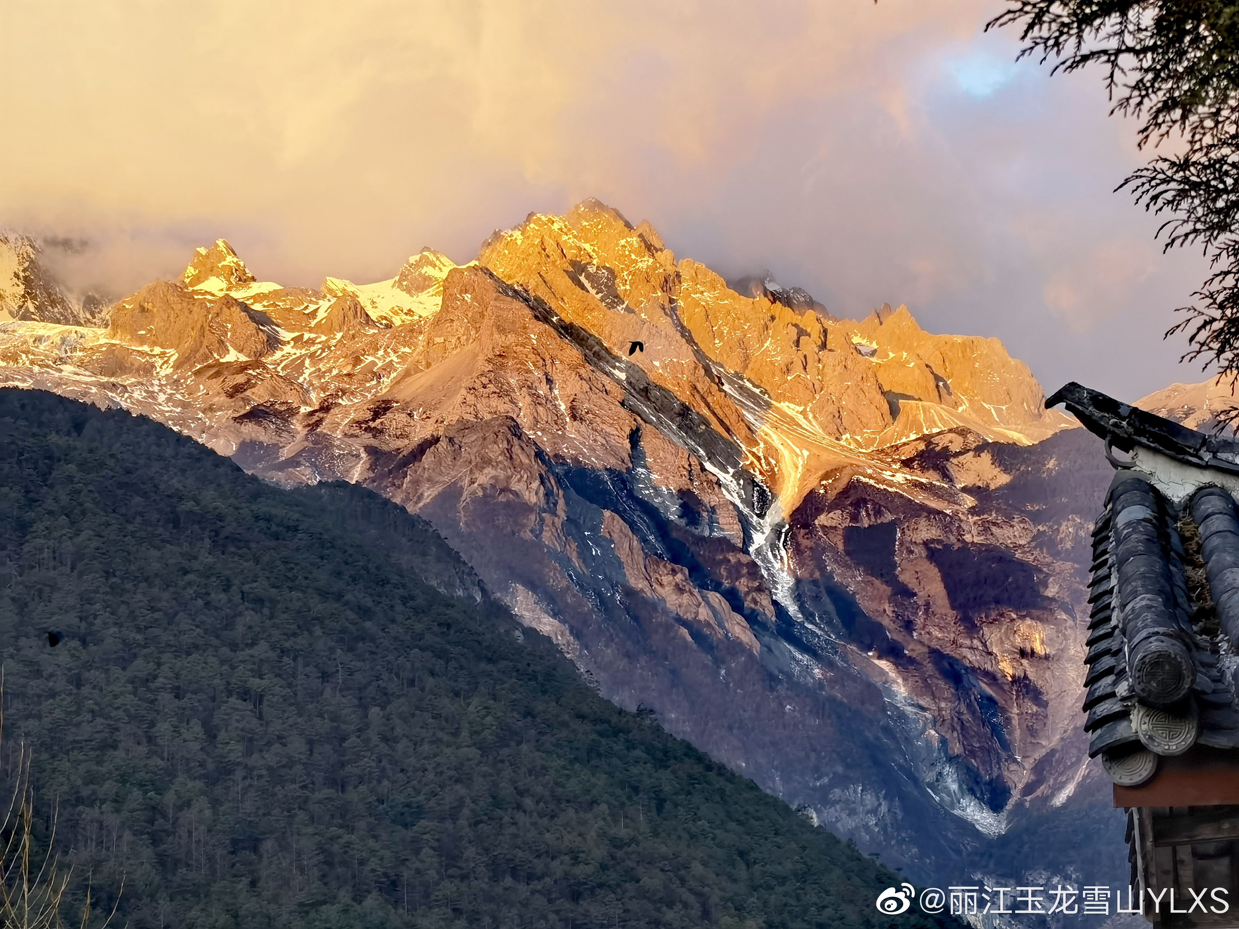 丽江玉龙雪山YLXS微博