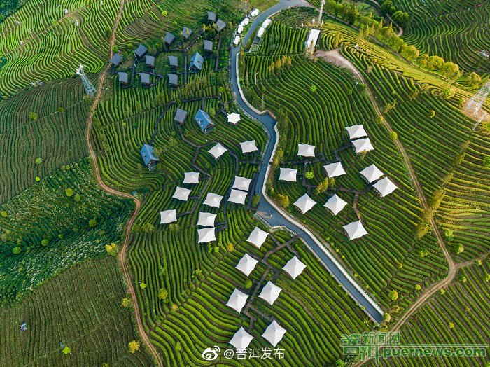 “让人治愈的普洱”