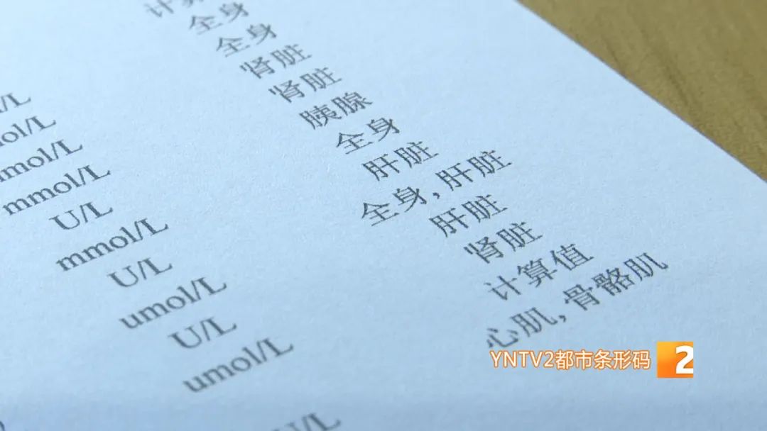 掌上春城(微信)