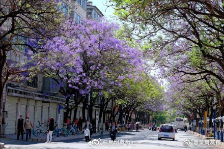 “呈贡发布”微博