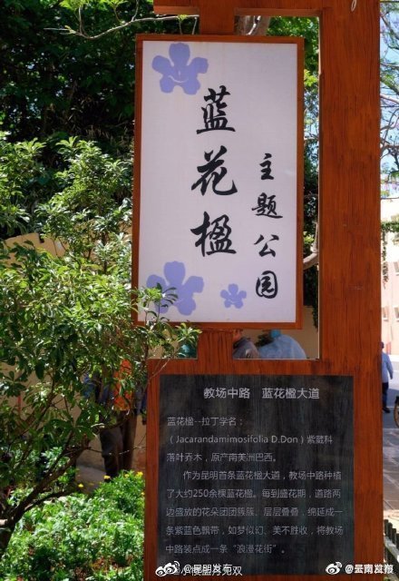 “呈贡发布”微博