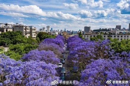 “呈贡发布”微博