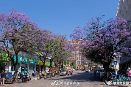 “呈贡发布”微博