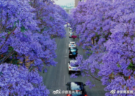 “呈贡发布”微博