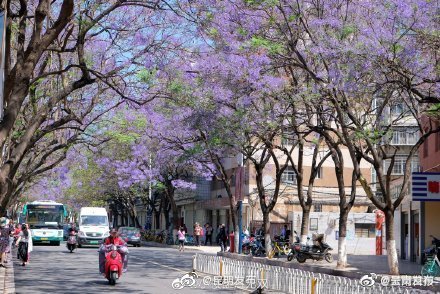 “呈贡发布”微博