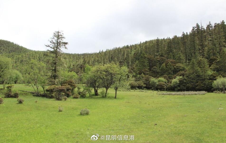 昆明信息港微博