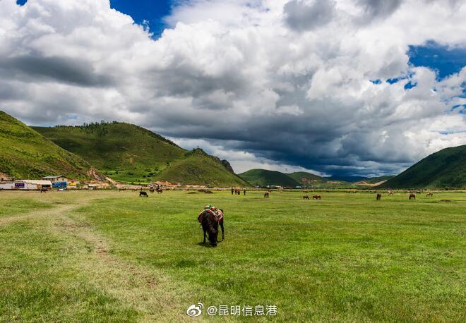 昆明信息港微博