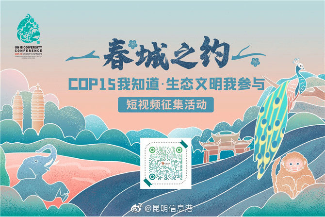 春城之约短视频大赛 3月获奖作品出炉