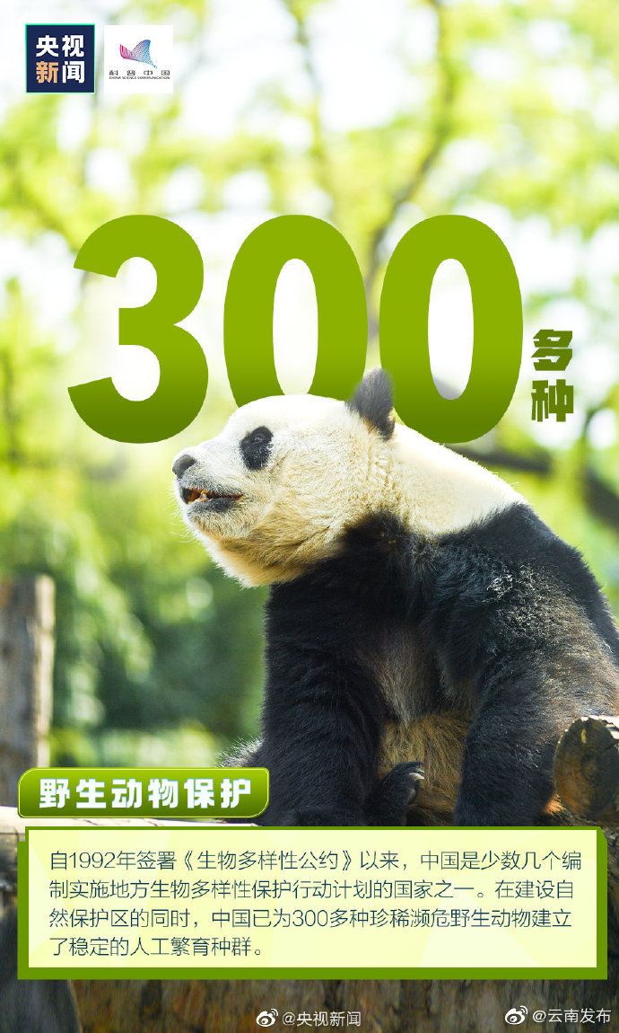 “云南发布”微博