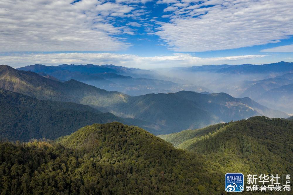 山水常绿 乡愁永驻——云南守护“动植物王国”的“诗和远方”