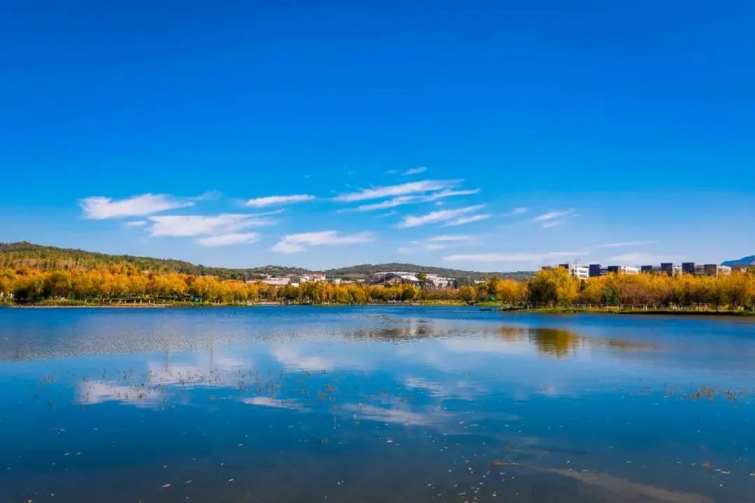 昆明信息港(微信)