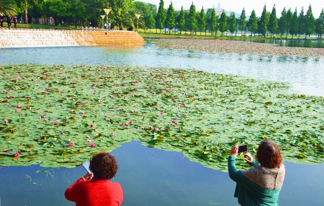 红河日报(微信)